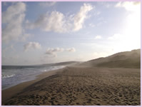 Long stretch of peaceful Zimbali beach